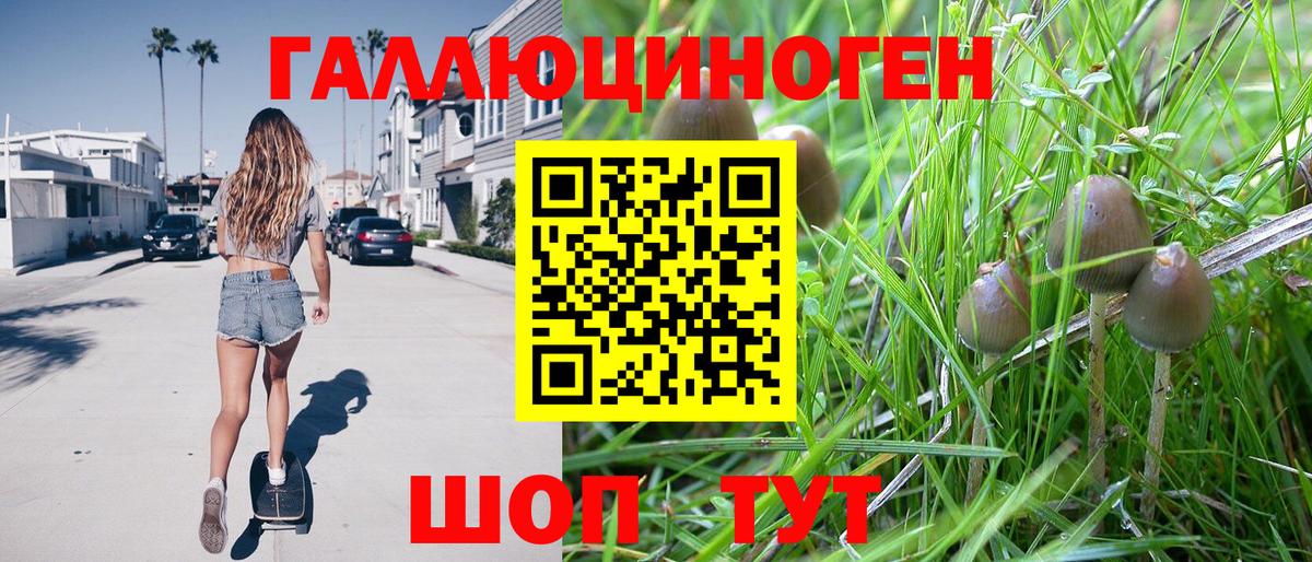 Псилоцибиновые грибы Psilocybe  сколько стоит  Нефтекамск  Галлюциногенные грибы ЛСД  Вход с VPN 