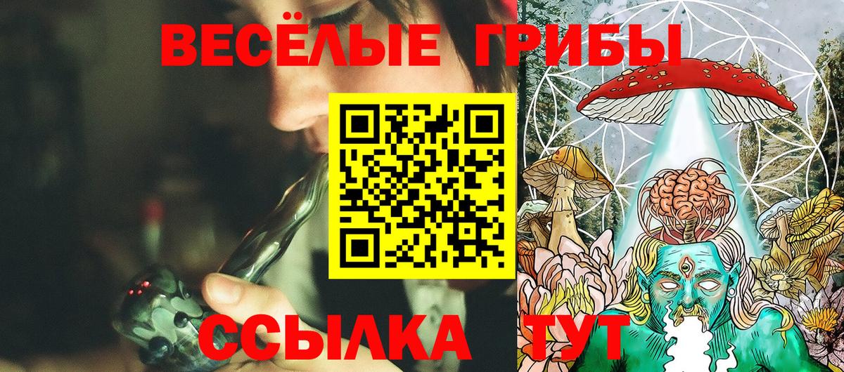 Псилоцибиновые грибы ЛСД Нефтекамск